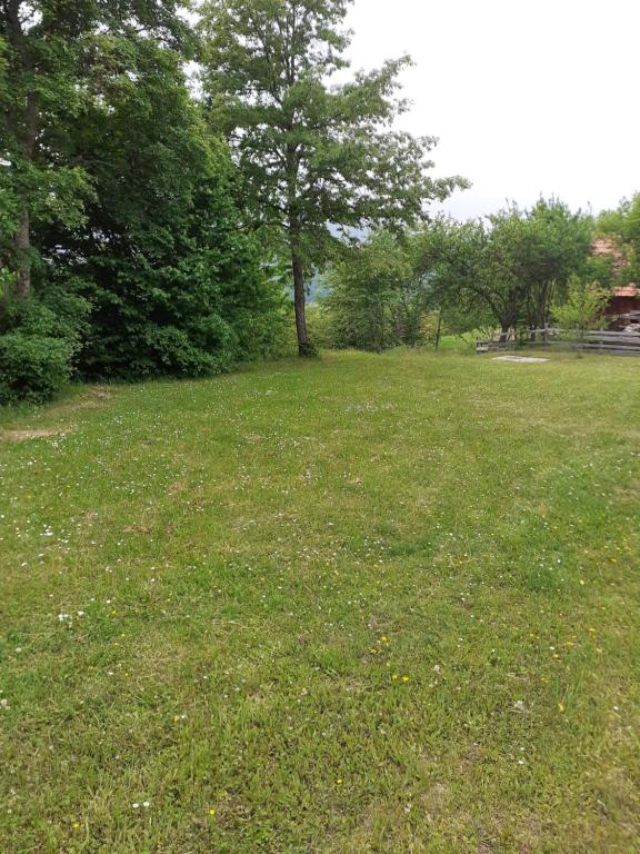 Zahrada ubytování Studio apartman jelena