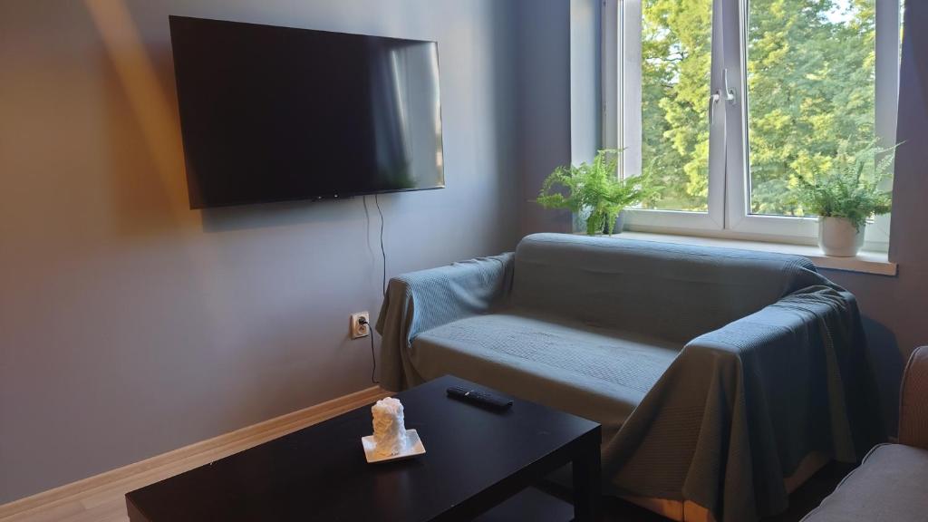 Televízia a/alebo spoločenská miestnosť v ubytovaní Apartamenty nad Stonehenge
