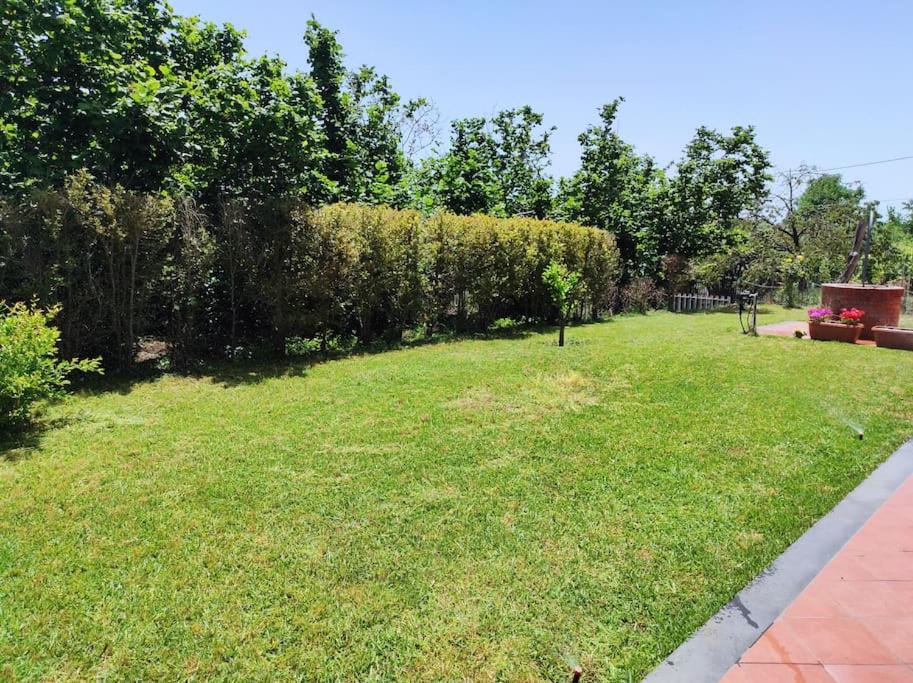 um quintal relvado com um banco à distância em Villa Tenuta ...un oasi di pace em Puntalazzo
