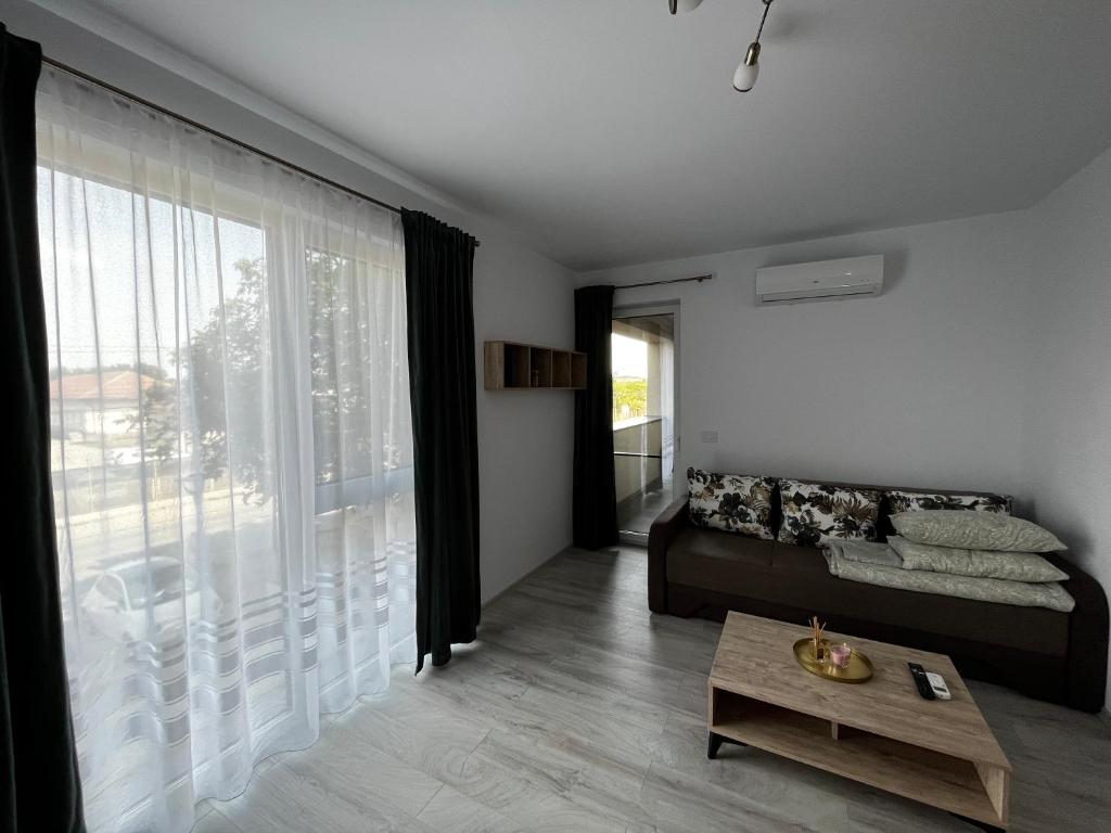 een woonkamer met een bank en een groot raam bij Apartament Modern cu o Camera in Timişoara