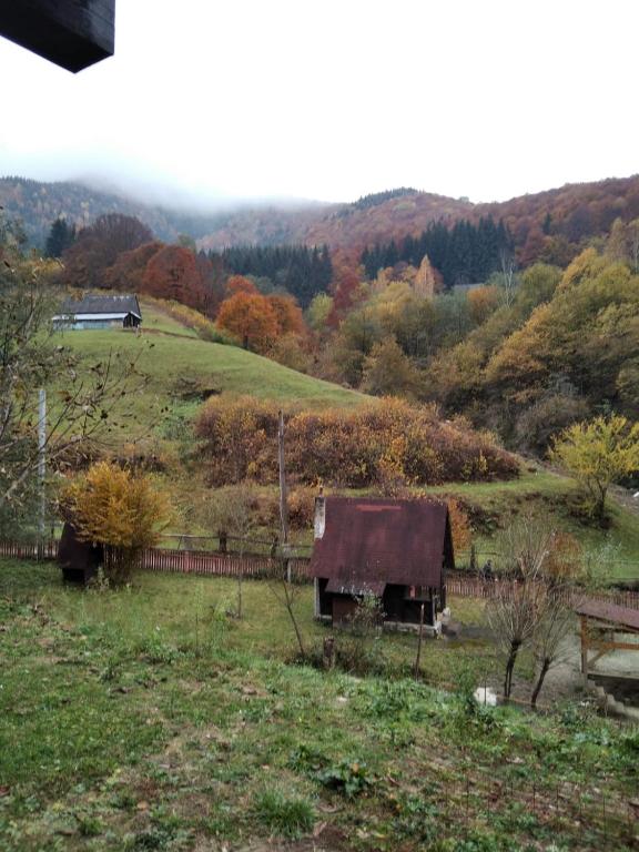 Casa De Vacanta Valea Prejbei