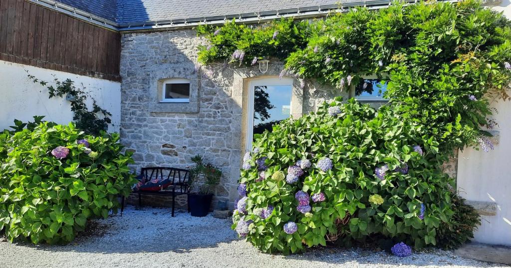 een gebouw met een bos bloemen erop bij Petit Paris in Kergrist