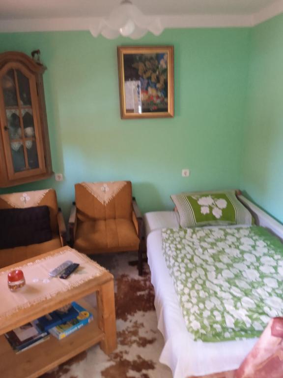 Postel nebo postele na pokoji v ubytování Kuća za odmor Lešnica
