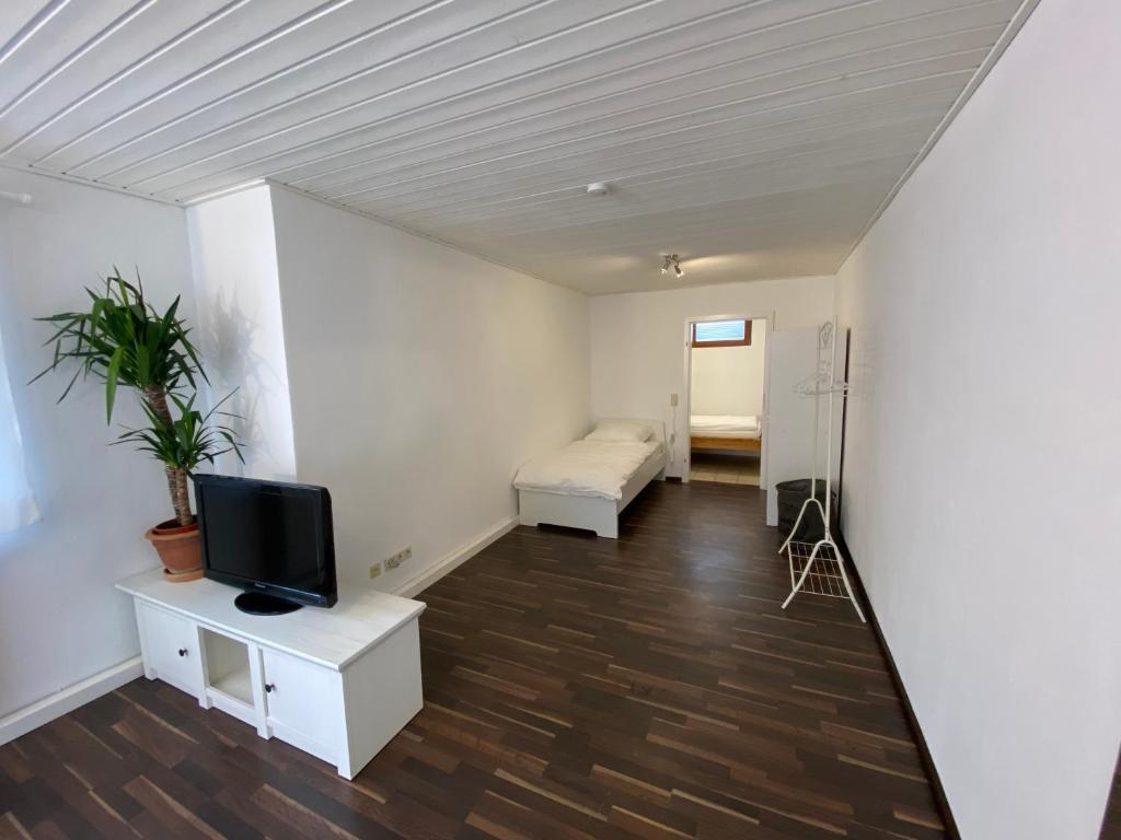 ein Wohnzimmer mit einem TV und einem Sofa in der Unterkunft Ferienwohnung Geiger in Sersheim
