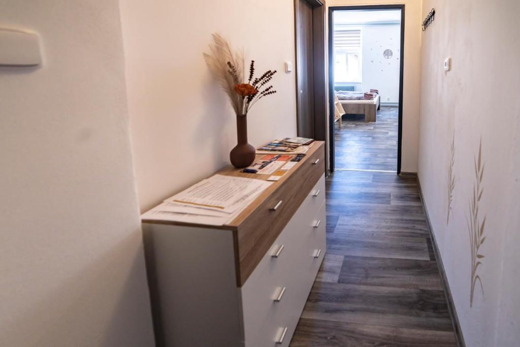 Fotografie z fotogalerie ubytování Apartmány Nežárka a privátní wellness v Jindřichově Hradci