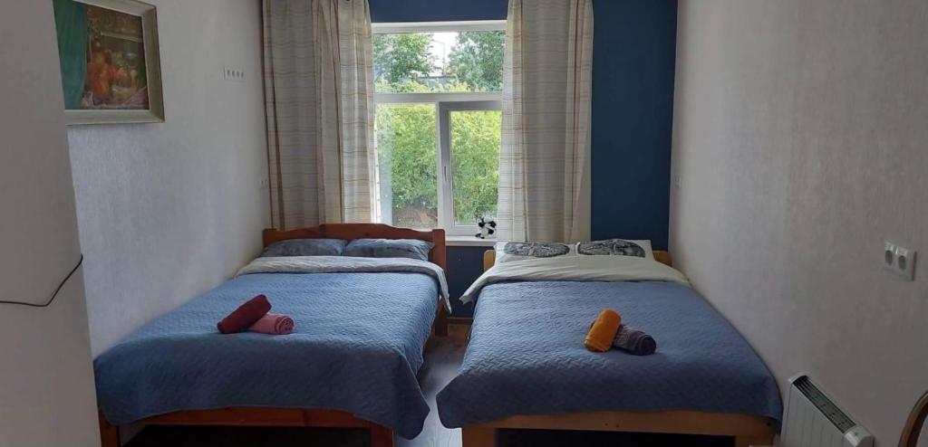 2 Einzelbetten in einem Zimmer mit Fenster in der Unterkunft Delta 9 -two big beds in Tartu