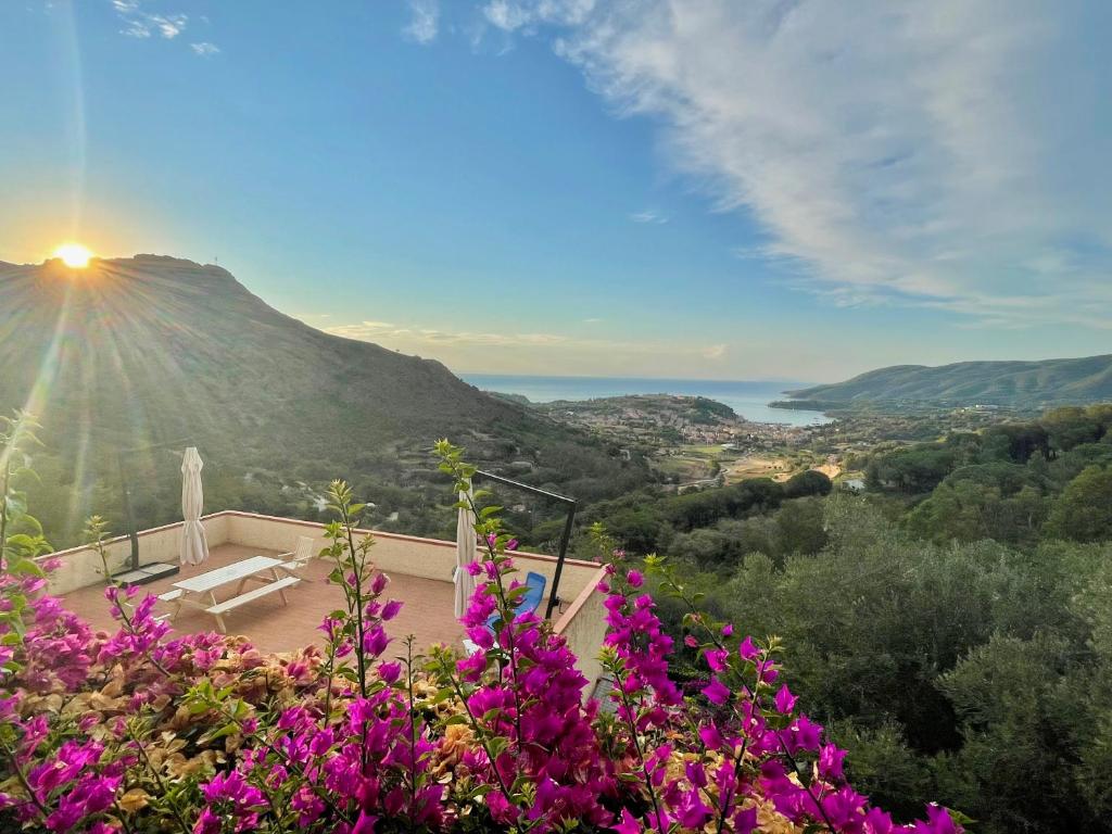 阿祖羅港的住宿－Aria di Collina - Isola d'Elba，紫色花卉山景公寓