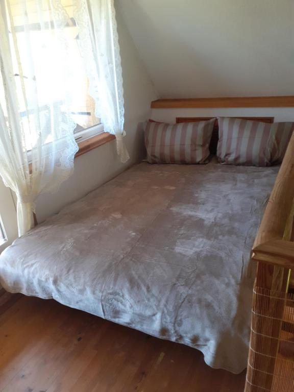 Dīķīši - One-Bedroom House