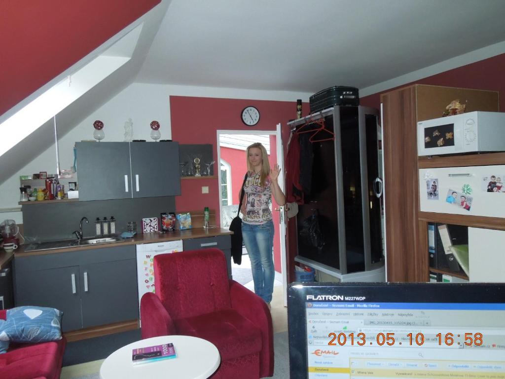 Kuchyň nebo kuchyňský kout v ubytování Homestay Kuchařovice