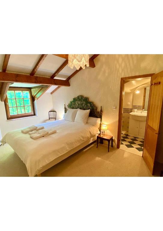 a bedroom with a large bed and a mirror at Manoir du Suquet in Bardou