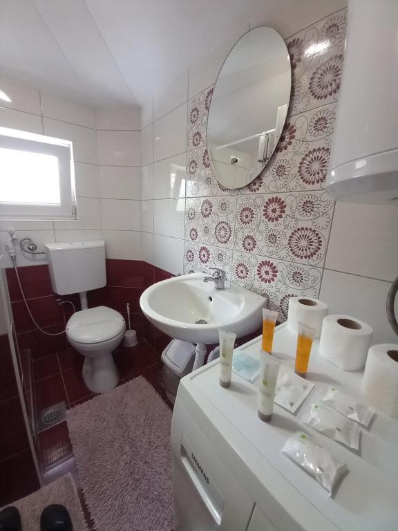a bathroom with a sink and a toilet and a mirror at Apartments Platz in Mostar