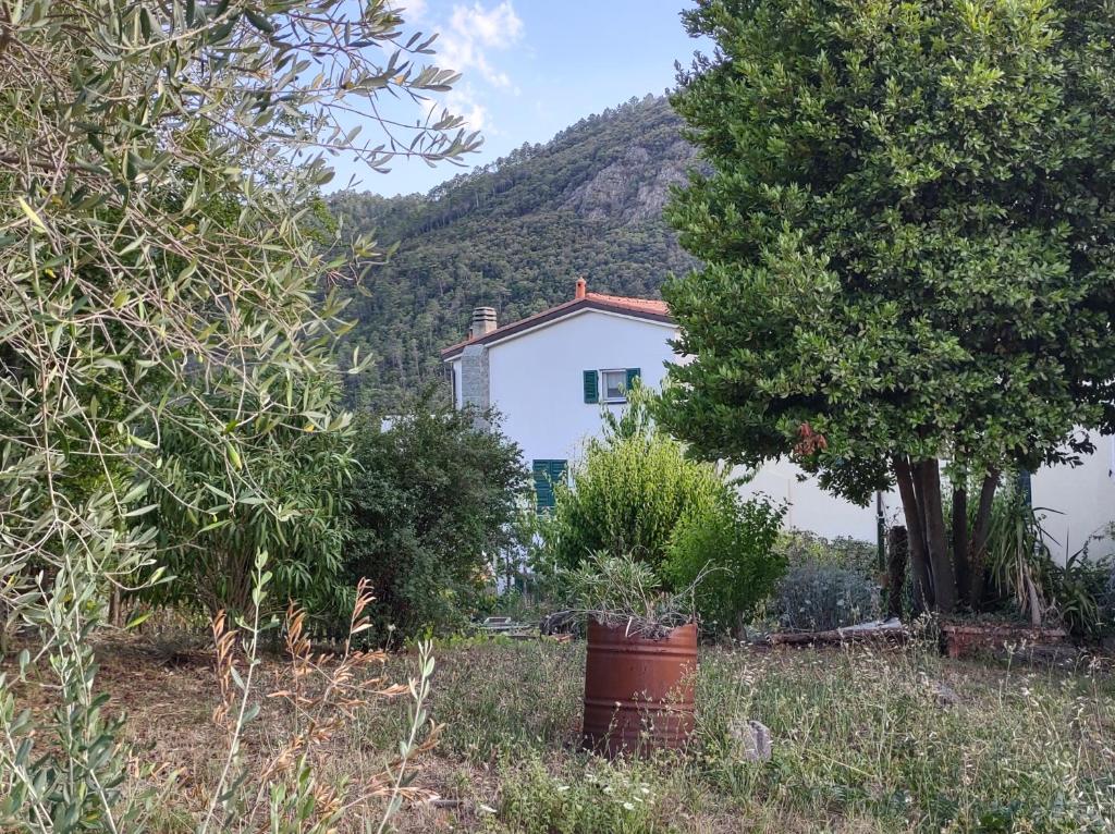 une maison blanche avec un arbre et une montagne dans l'établissement La scala di Ba, à Castiglione Chiavarese