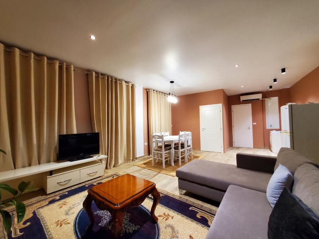 Sirius Apartment في شكودر: غرفة معيشة مع أريكة وتلفزيون