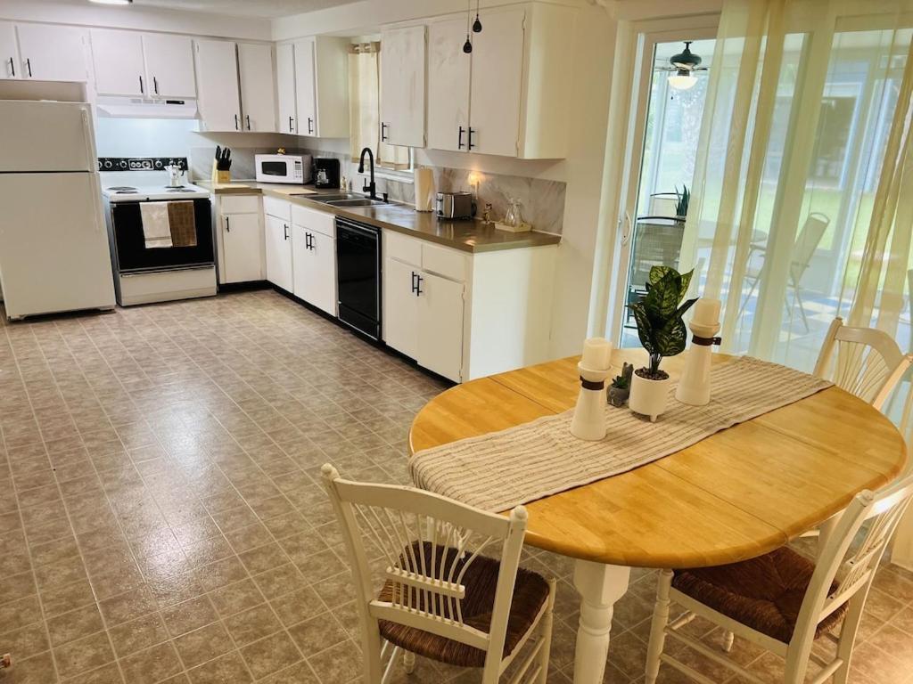 Crystal River, Manatee Swim Group Tour, Crystal River, United States