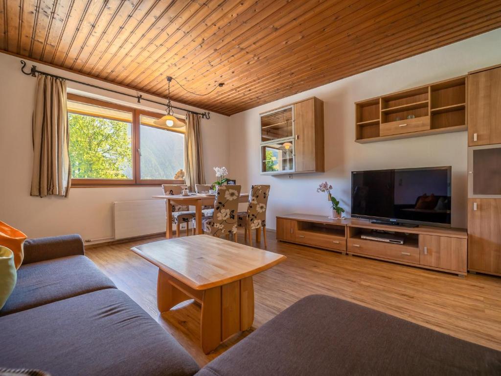 TV a/nebo společenská místnost v ubytování Apartment Leonie