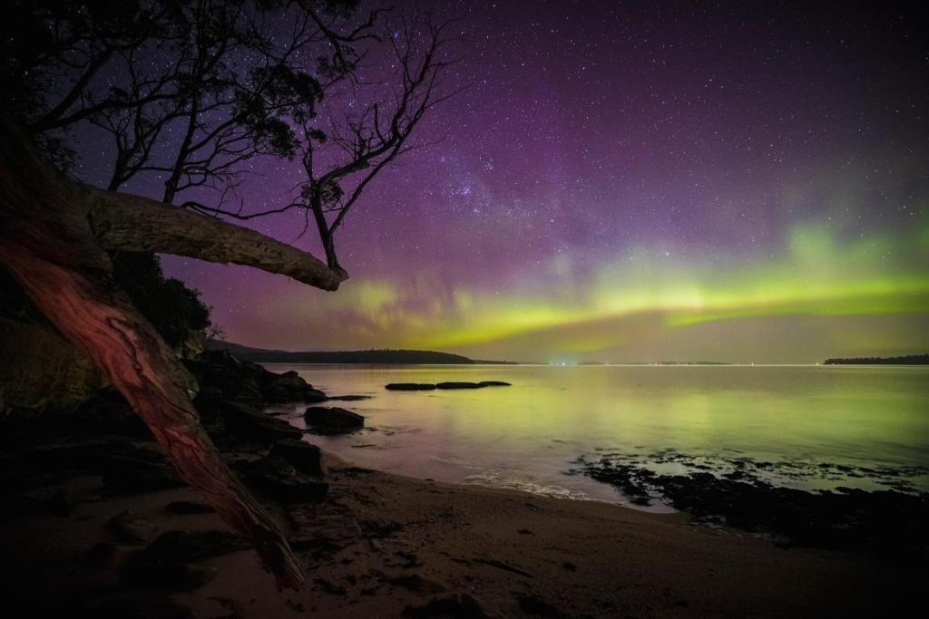 an aurora over a beach at night with a tree at Bruny Island Oceanfront Luxe Cabin with Spa in Adventure Bay