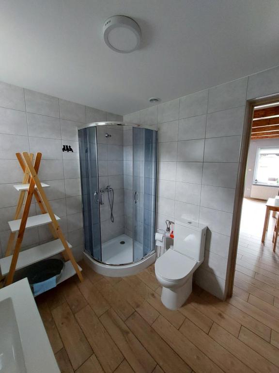 Kúpeľňa v ubytovaní Apartament Buczyna