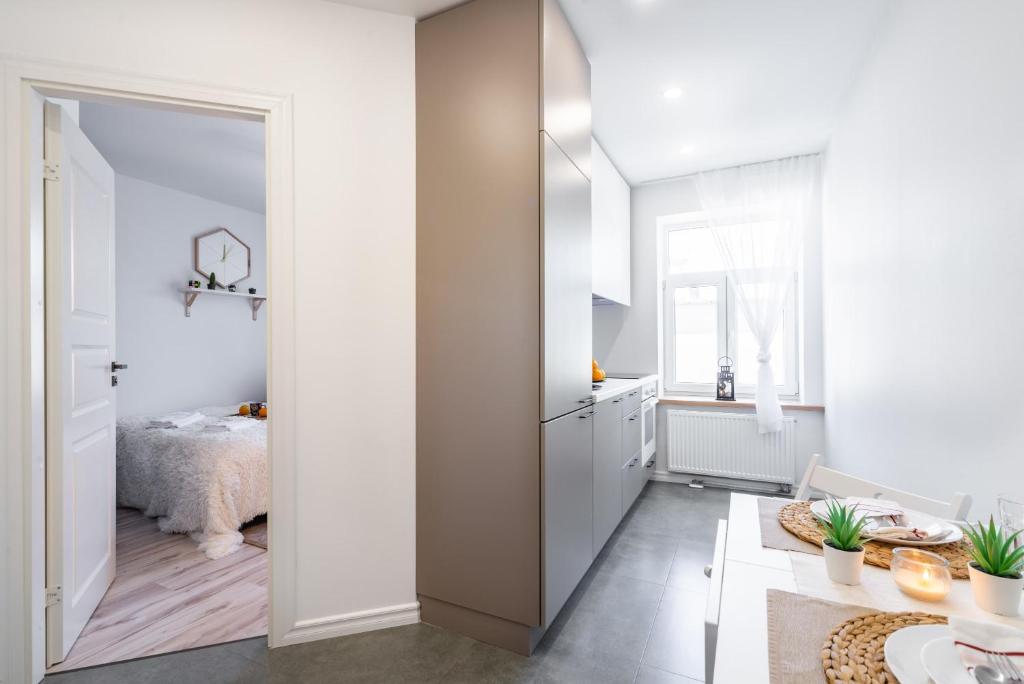 Bruninieku street studio Apartment - Apartment