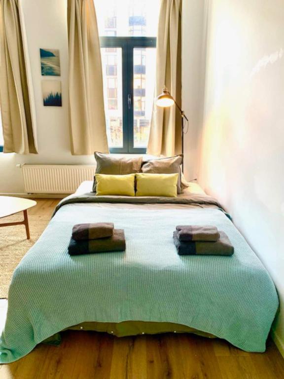 Postel nebo postele na pokoji v ubytování Cozy Apartment in Antwerpen Centraal