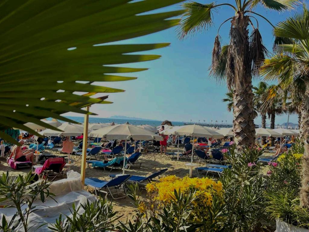 Mali i Robit apartments - Imazhi 5