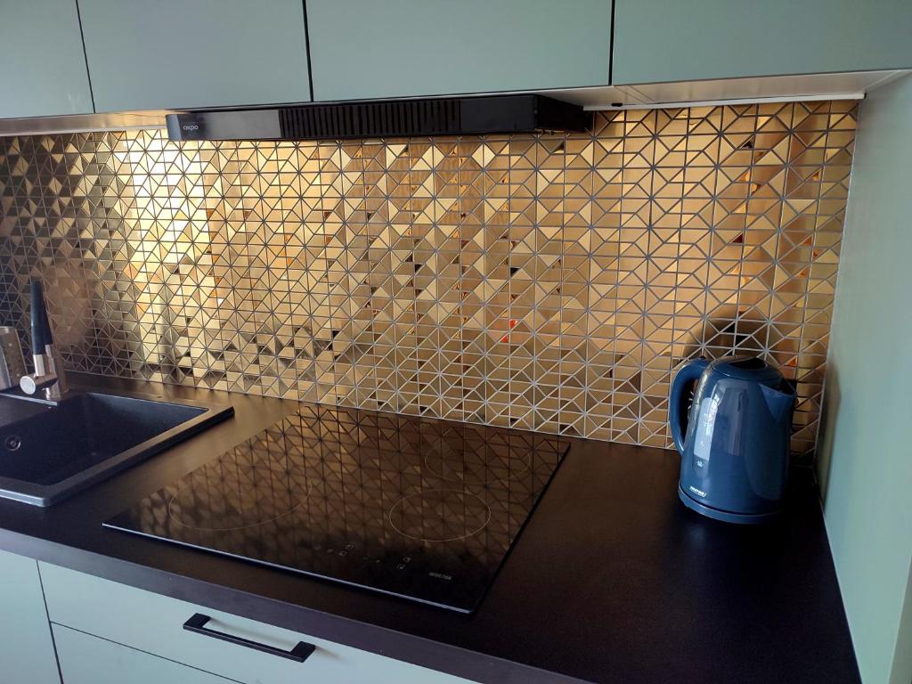 Kuchyňa alebo kuchynka v ubytovaní Apartament blisko morza Izabella & Lilianna Gdańsk Nowa Letnica