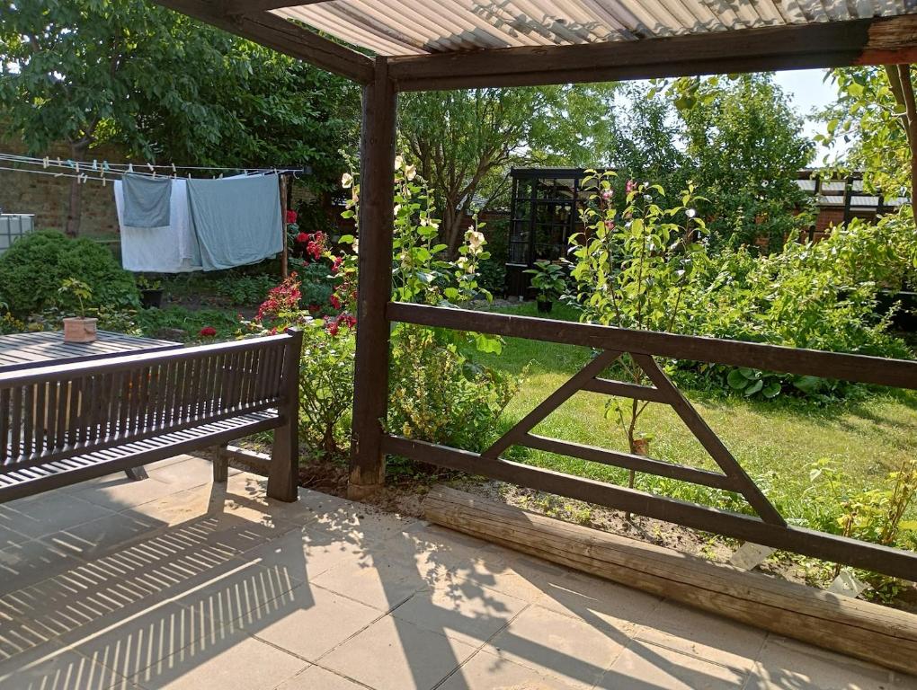 Zahrada ubytování Ezzo guest house