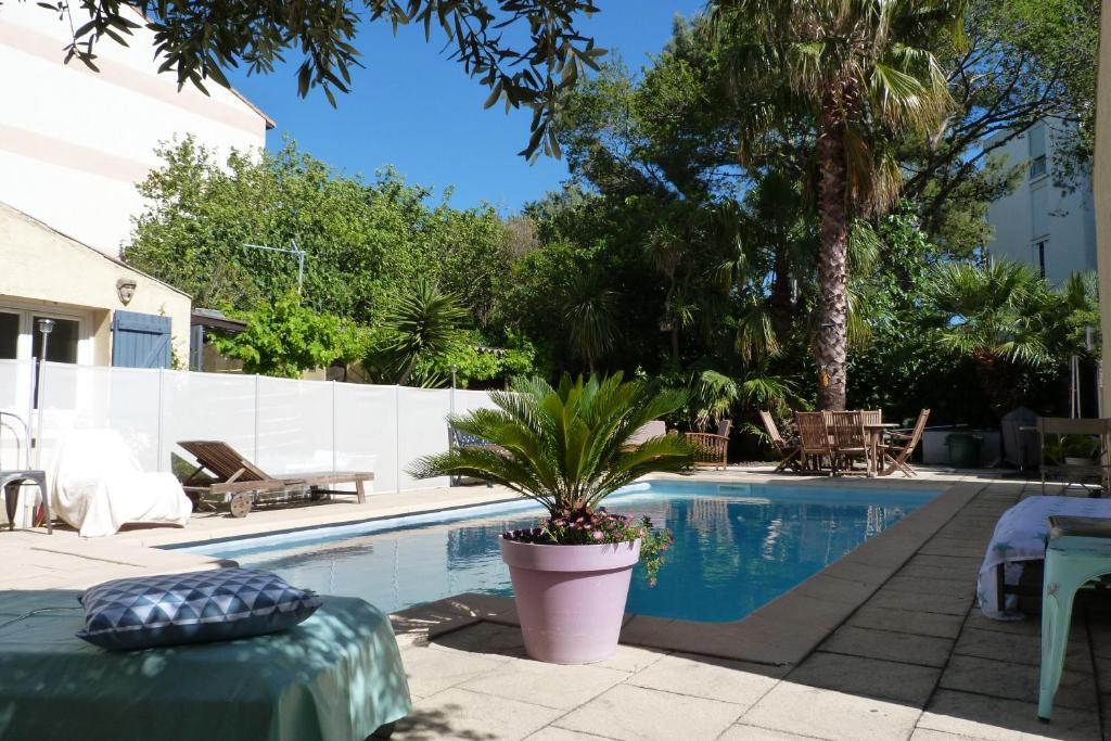 ein Schwimmbad mit Topfpflanze daneben in der Unterkunft Maison jardin grande piscine , sortie bateau possible in Marseille