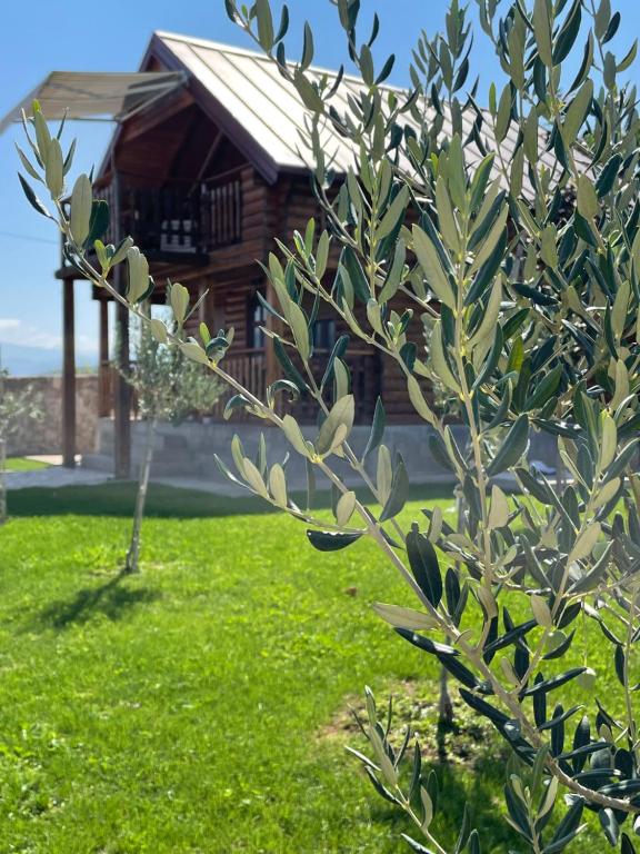 a wooden house with a tree in front of it at Cosy cottage Andrej in Danilovgrad