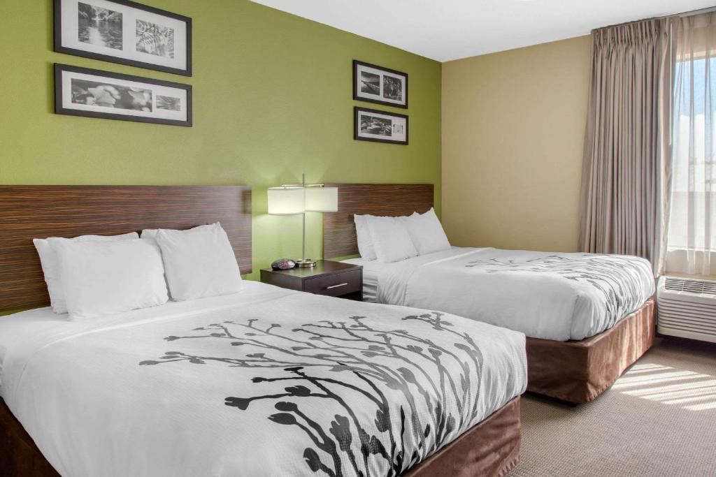 a hotel room with two beds and a window at Sleep Inn & Suites Bakersfield North in Bakersfield