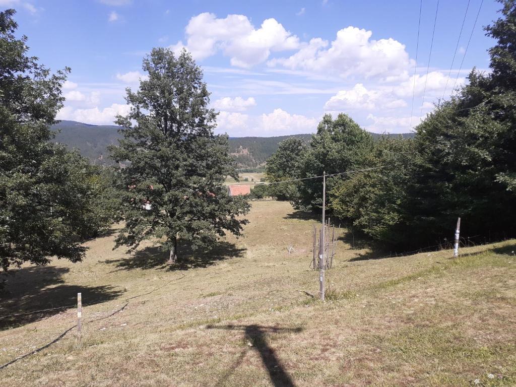 Příroda nedaleko prázdninového domu