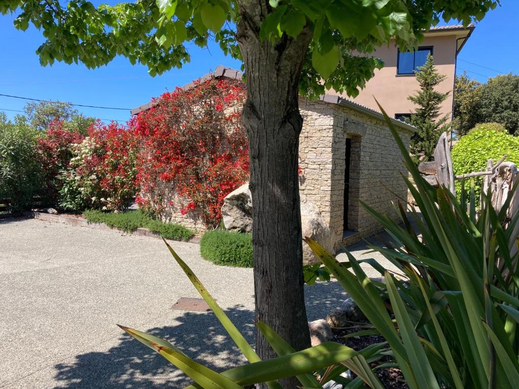 a tree with red flowers in front of a house at Résidence Petru-Maria in Propriano