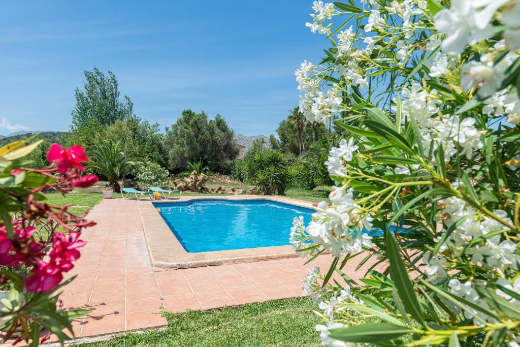 a swimming pool in a garden with flowers at Villa Lucas - Pollença in Pollença