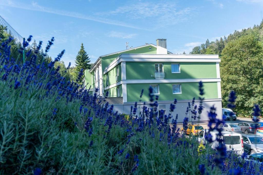 Zahrada ubytování Wellness Hotel GREEN PARADISE