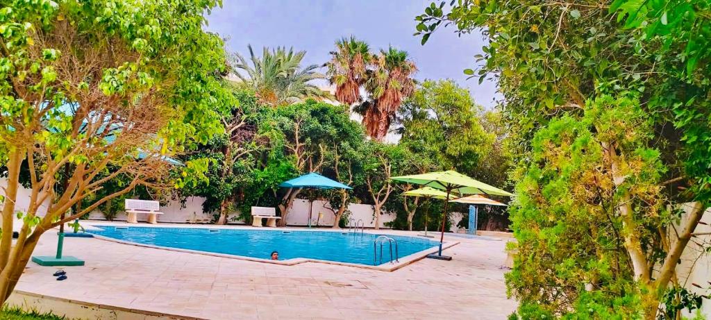 une grande piscine avec des parasols et des arbres dans l'établissement APPARTEMENT RAYHAN Yasmine Hammamet, à Hammamet
