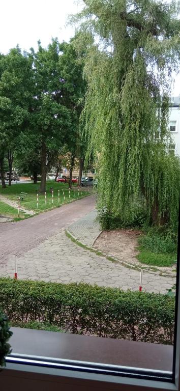 Vonkajšia záhrada v ubytovaní APARTAMENT FOCHA