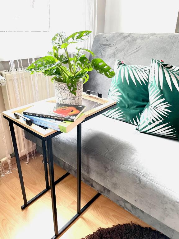 a coffee table with a plant on top of a couch at Apartamenty przy Starówce in Olsztyn