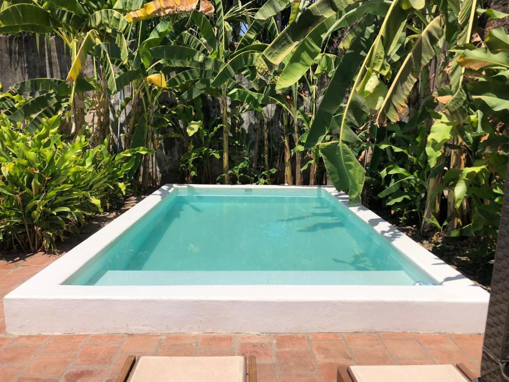 a swimming pool in a garden with plants at Casa Taller El Boga in Mompós