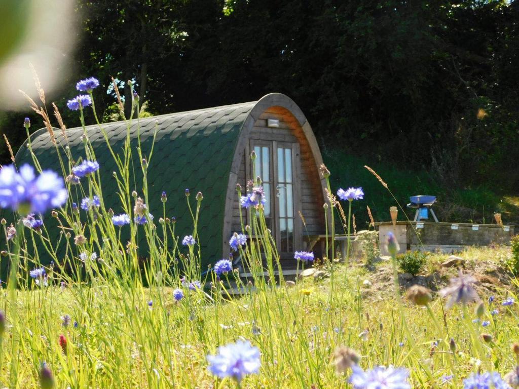 une petite maison dans un champ de fleurs dans l'établissement Cosy Pod-Cabin near beautiful landscape in Omagh, à Omagh