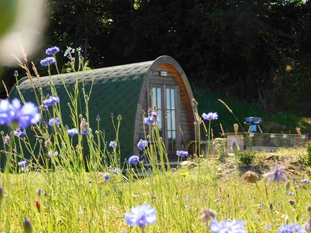a small house in a field of flowers at 2 Bed Pod Cabin-Sleeps 2-Pets-Garden-Mtn View in Omagh