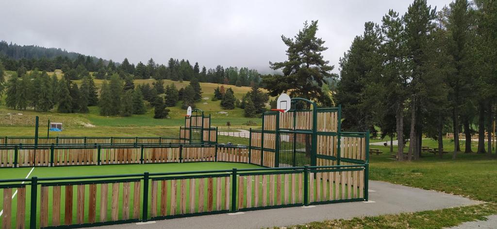 Príroda v okolí apartmánu