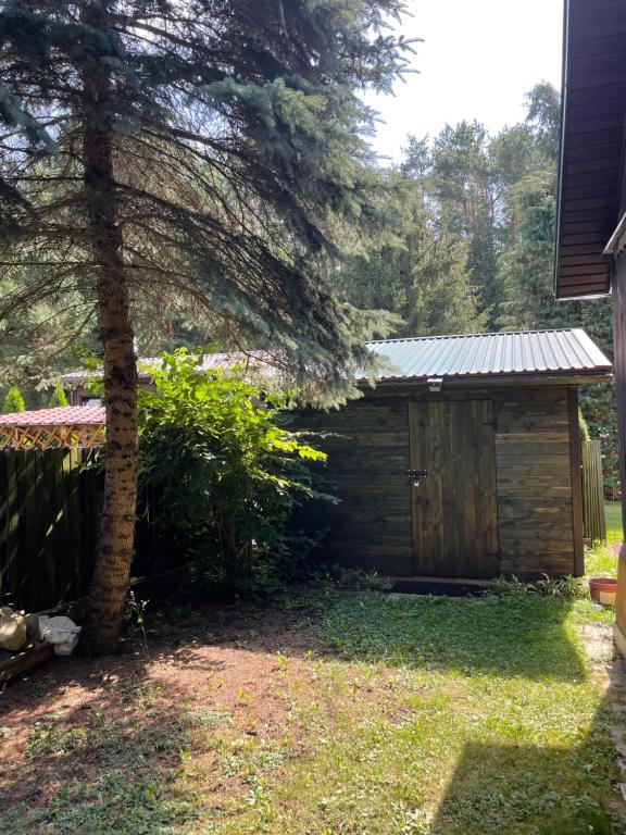 Zahrada ubytování Domek całoroczny u Zosi