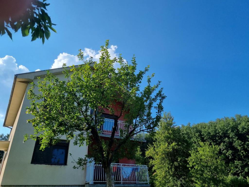 Una casa blanca con un árbol delante. en Green, en Andrijevica