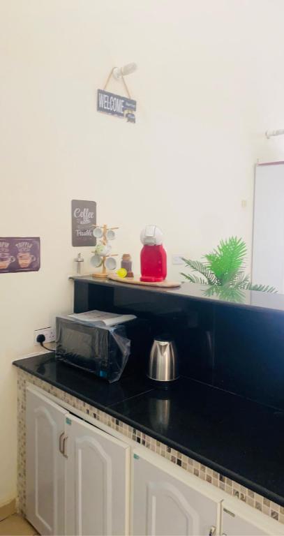 Kuchyň nebo kuchyňský kout v ubytování SHAIKHA villa