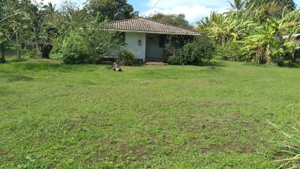 a dog sitting in the grass in front of a house at Cabañas Varua in Hanga Roa
