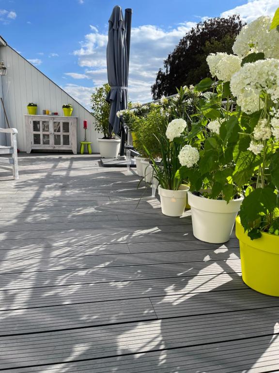Fotografie z fotogalerie ubytování Rooftop terrace suite v destinaci Heist-op-den-Berg