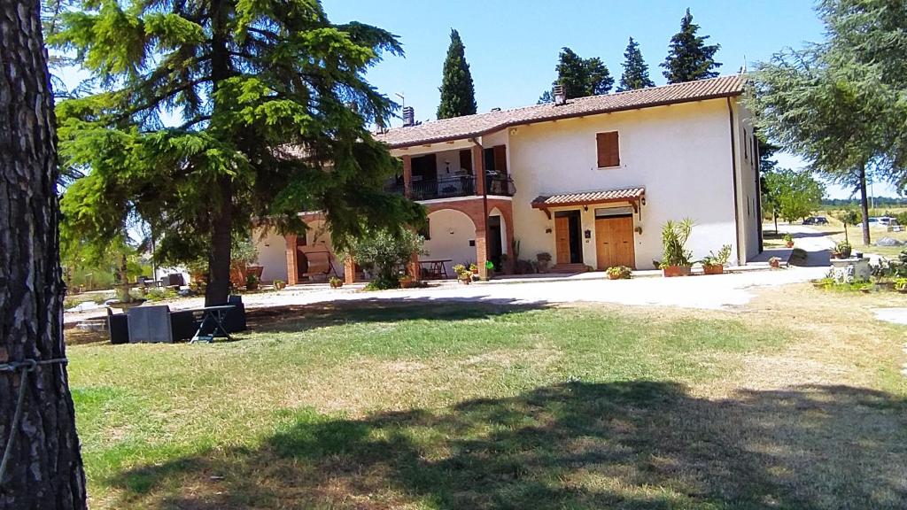 une maison avec un arbre en face dans l'établissement Casale in collina vista Assisi,Brufa di Torgiano, à Brufa