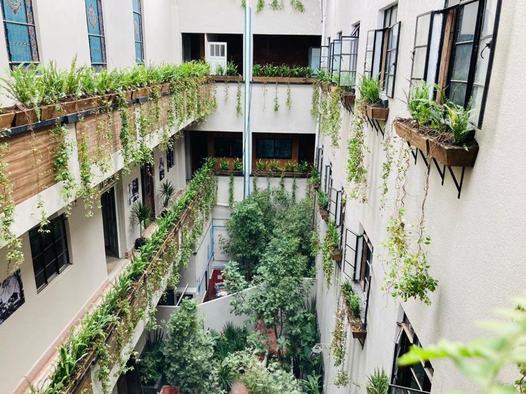 خوابگاه روما نورته - Roma Norte Hostal، خوابگاه روما نورته