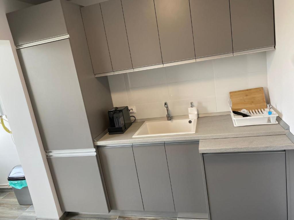 Alesandru apartament - Housity