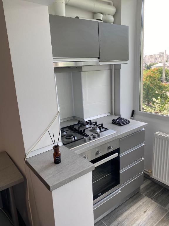 Alesandru apartament