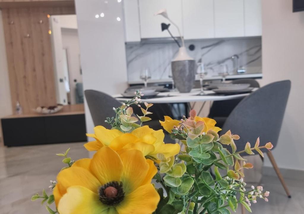 Kuchyň nebo kuchyňský kout v ubytování Dream Home Veria